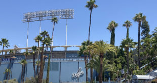 Dodger Stadium Palm Trees